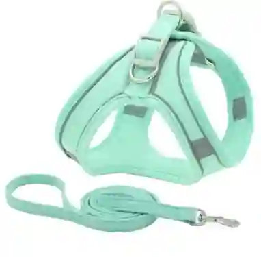 Arnés Para Perro Con Traílla Nobuck Talla L Color Verde Menta