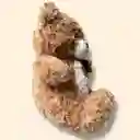 Peluche Osito Peludo Con Tarro De Miel