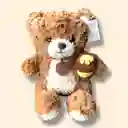 Peluche Osito Peludo Con Tarro De Miel