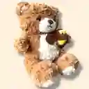 Peluche Osito Peludo Con Tarro De Miel