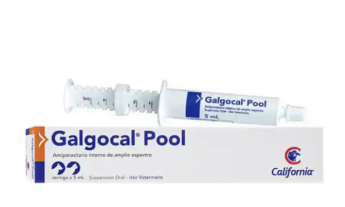 Galgocal Pool
