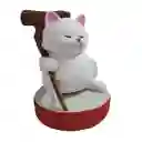 Maestro Karin (dragon Ball)