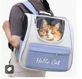 Morral Hello Cat