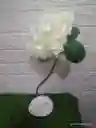 Hortensia Individual