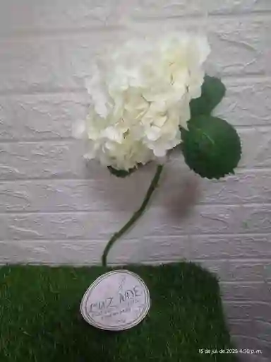 Hortensia Individual