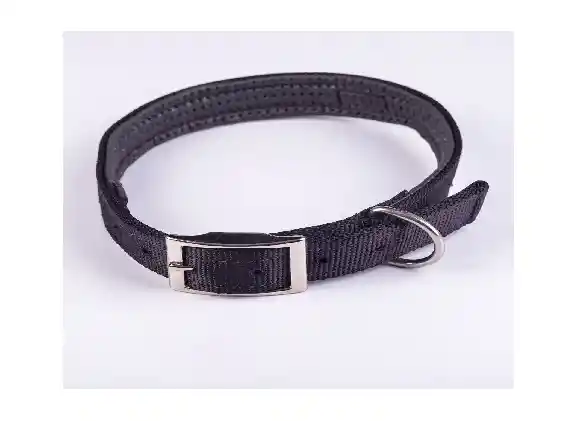 Al Torno Collar Nylon Reata Neop Talla S Surt