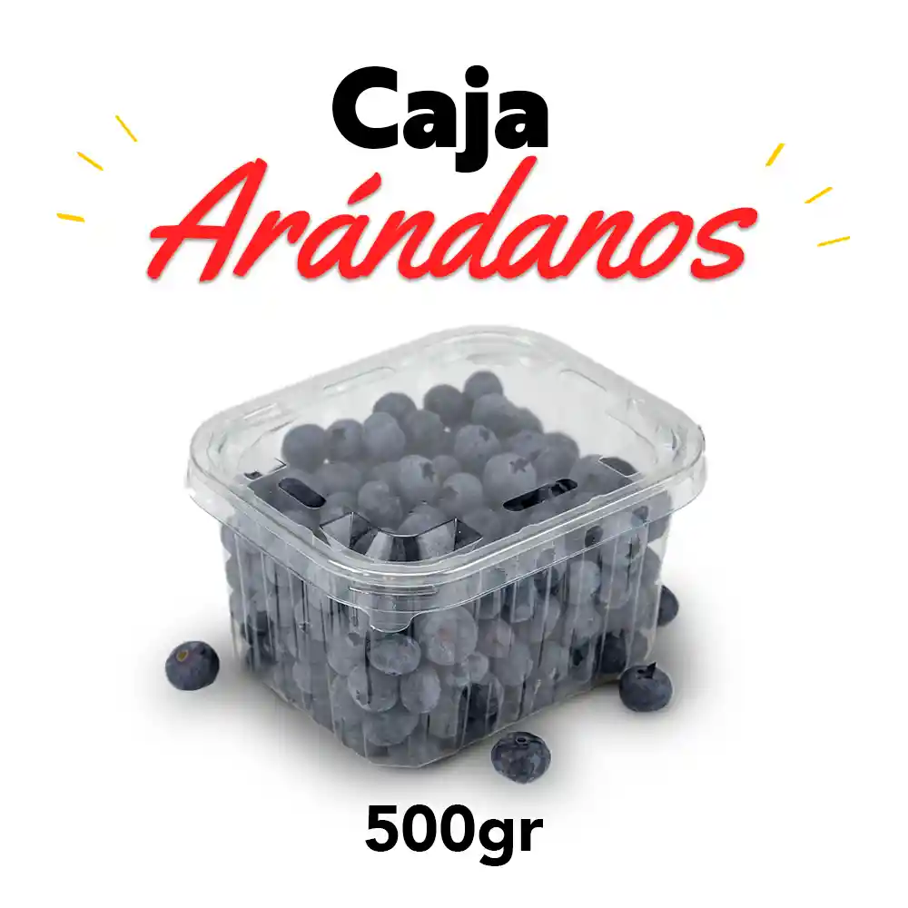 Arándano Premium 500gr