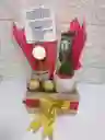Cactus Buo Sorpresa