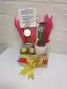 Cactus Buo Sorpresa