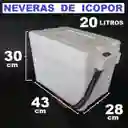 Nevera De Icopor 20 Litros Medidas 30cmx43cmx28cm
