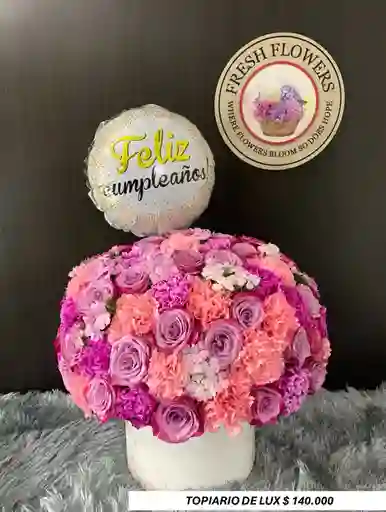 Topiario De Luxe