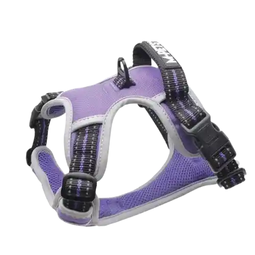 M-pets Arnés De Hiking Morado Real Para Perro - L
