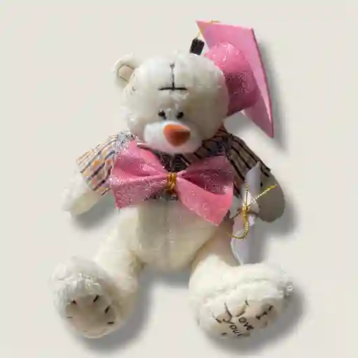 Set Decorativo De Graduación Pequeño Para Peluches