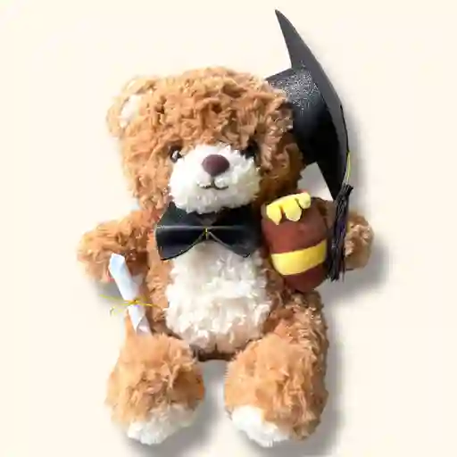 Set Decorativo De Graduación Grande Para Peluches