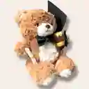 Set Decorativo De Graduación Grande Para Peluches