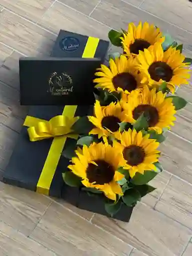 Girasoles