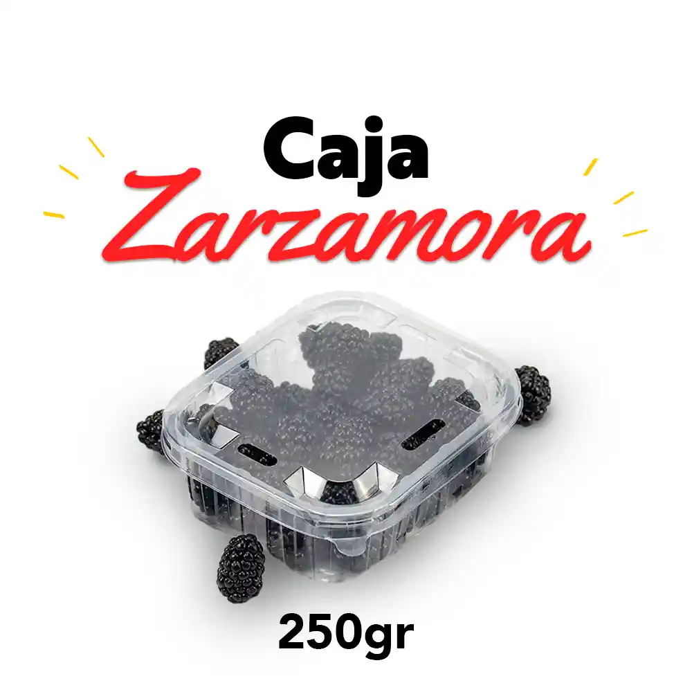 Zarzamora 250gr