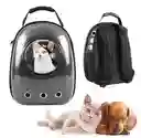 Morral Para Gato O Perro Pequeño O Mediano