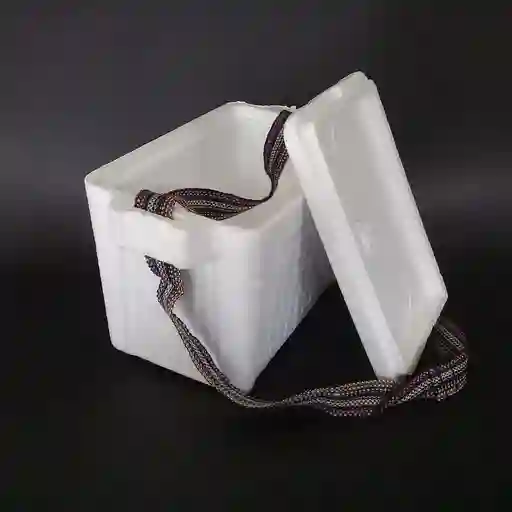 Nevera De Icopor 5 Litros Medidas 20cmx28cmx19cm