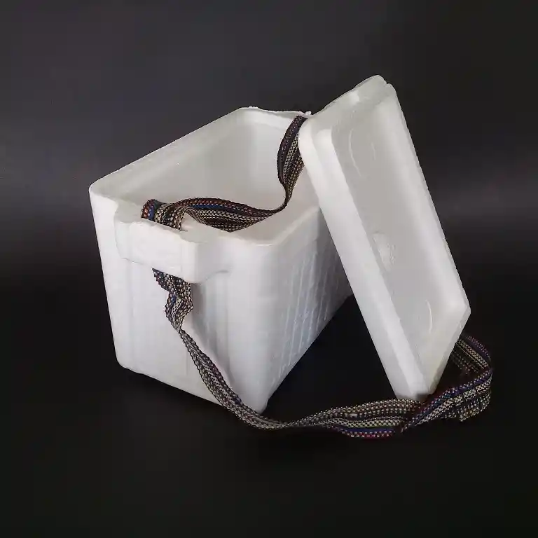 Nevera De Icopor 5 Litros Medidas 20cmx28cmx19cm