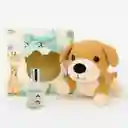 Perfume Niños Y Niñas Con Peluche