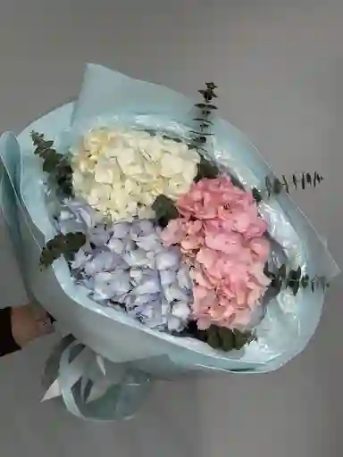 🤍💙💗 Ramo “trío De Hortensias” – Pureza, Calma Y Ternura