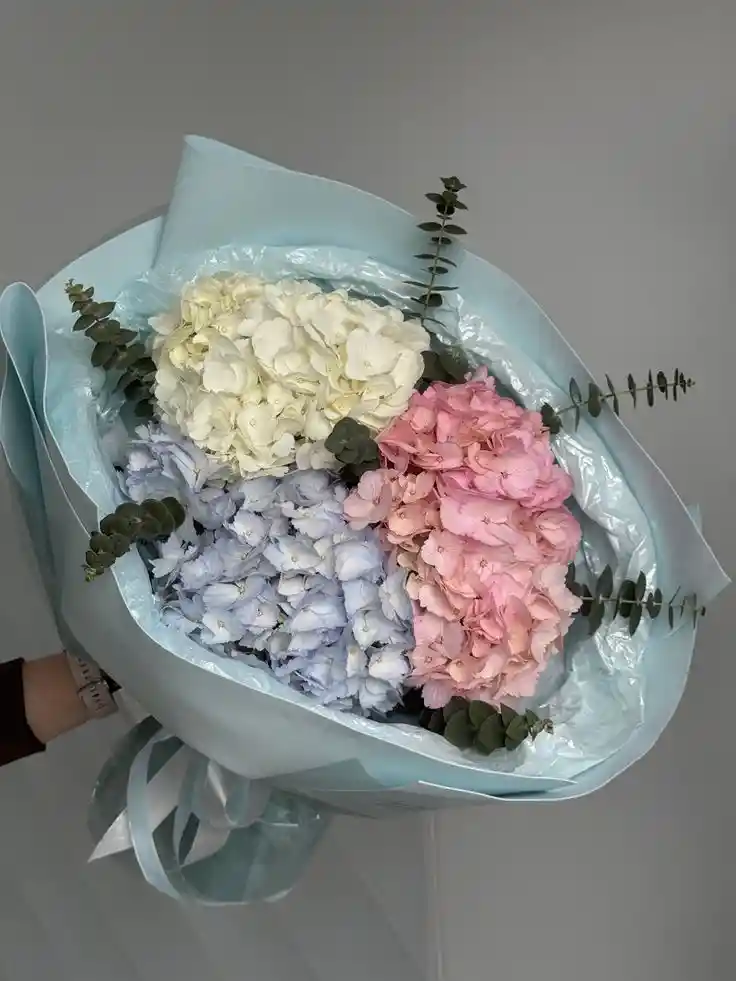 🤍💙💗 Ramo “trío De Hortensias” – Pureza, Calma Y Ternura