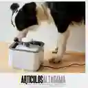 Fuente De Agua Para Gatos Perros Bebedero Para Mascotas