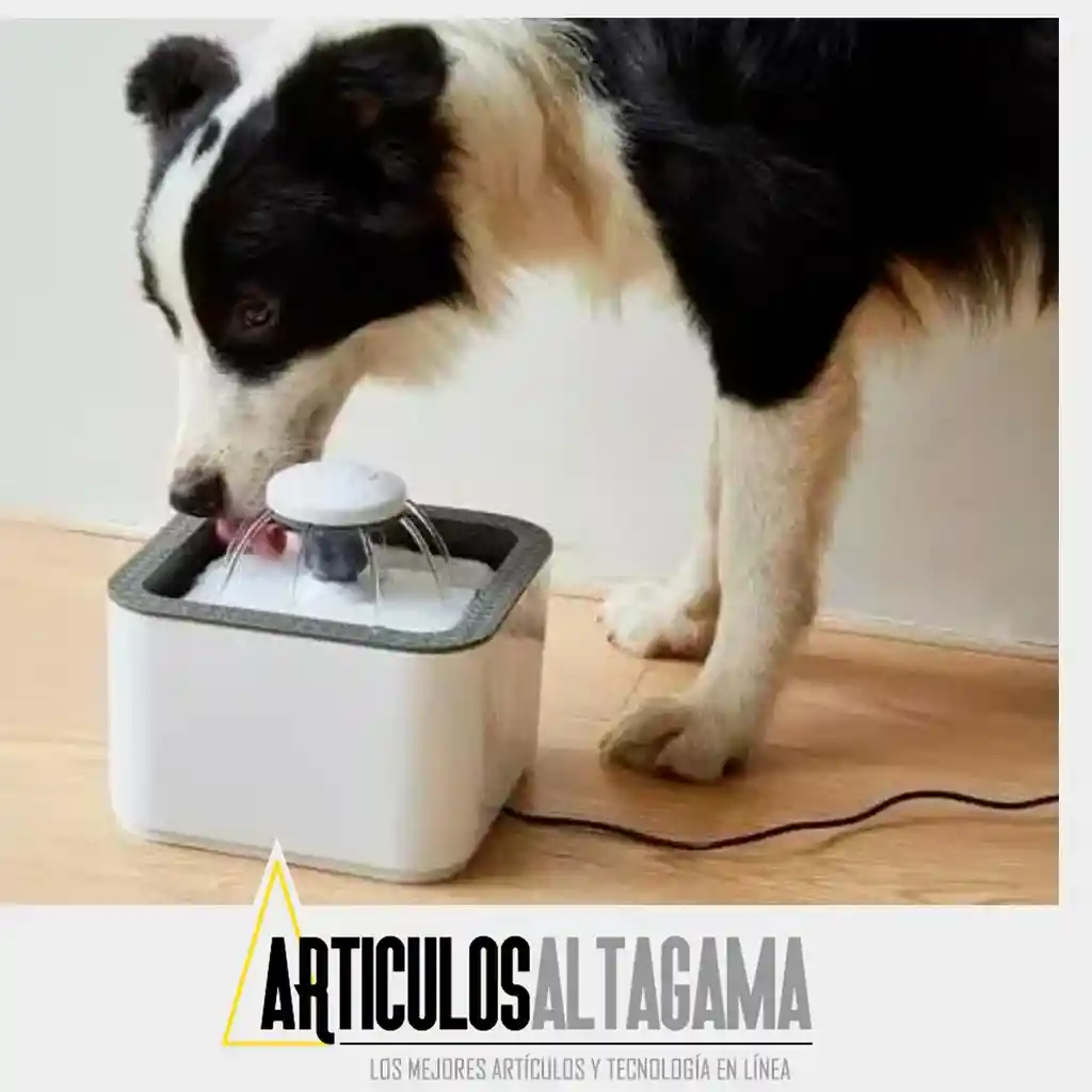 Fuente De Agua Para Gatos Perros Bebedero Para Mascotas