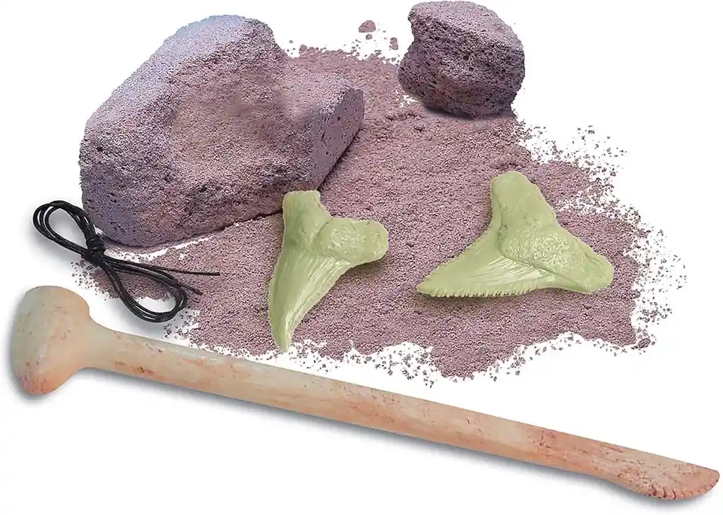 Juego De Experimentó Arqueólogo Diente De Tiburón Para Niños