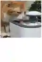 Bebedero Para Mascotas, Fuente Automática De Agua Para Gatos Y Perros, Color Blanco, 110 V/220 V