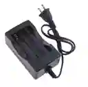 Cargador Doble Pila