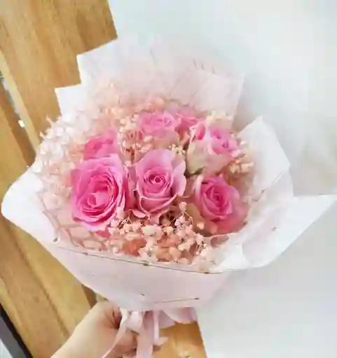 Brisa Rosa