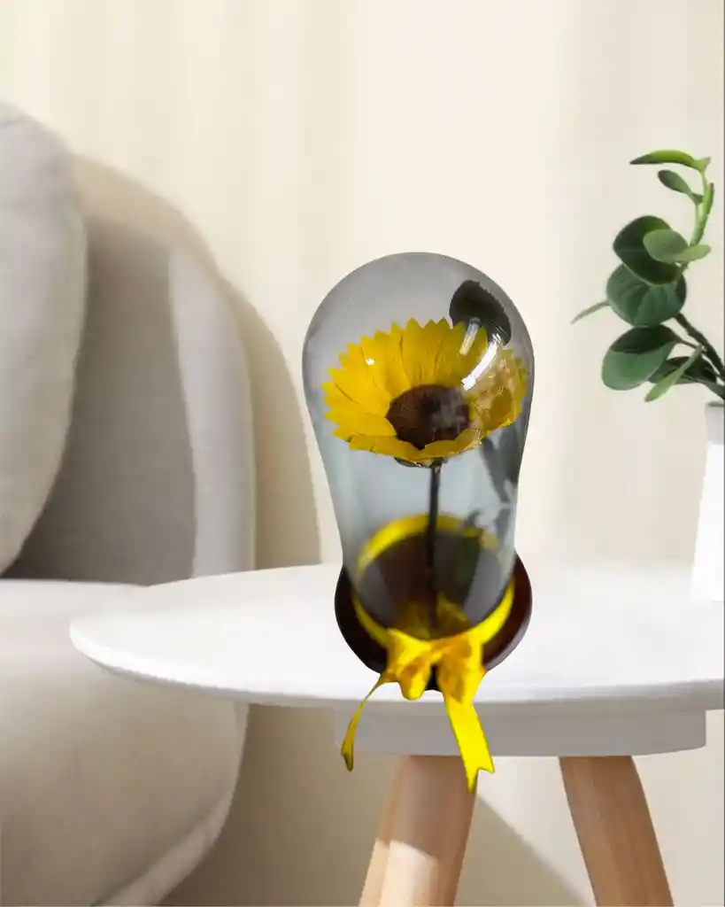 Flor Girasol Preservado