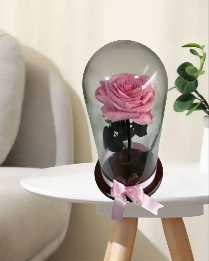Flor Rosa Preservada Rosada Baby