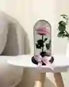 Flor Rosa Preservada Rosada Baby