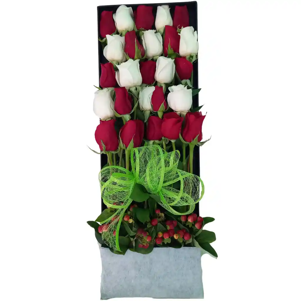 Caja De Rosas Bicolor