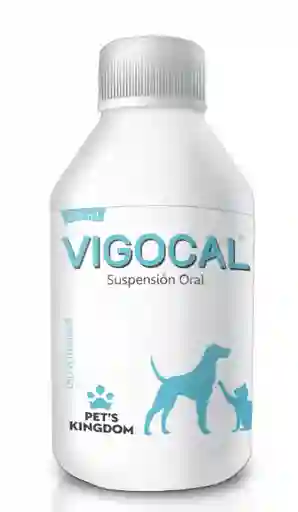 Vigocal Suspension Oral X 120 Ml