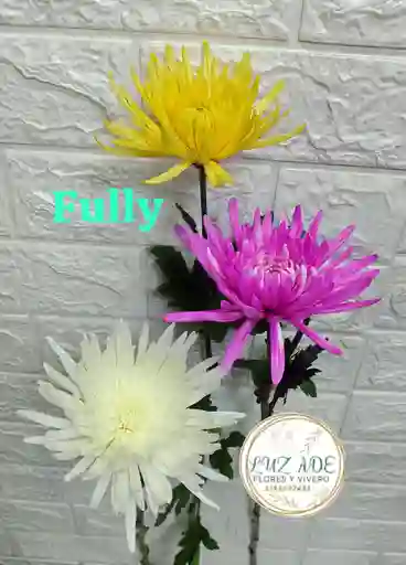 Flor Natural Fulli Por Unidad