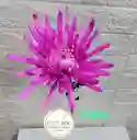 Flor Natural Fulli Por Unidad