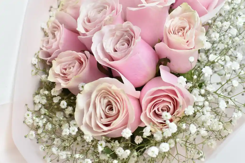 Bouquet De 12 Rosas Rosadas