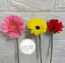 Flor Gerbera Natural En Color Rosa