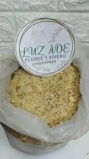 Cascarilla O Cisca De Arroz