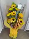 Girasoles Primaveral