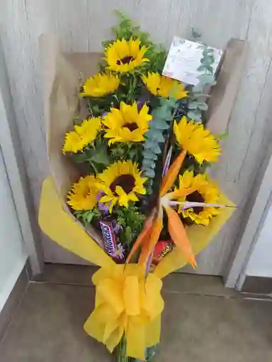 Girasoles Primaveral