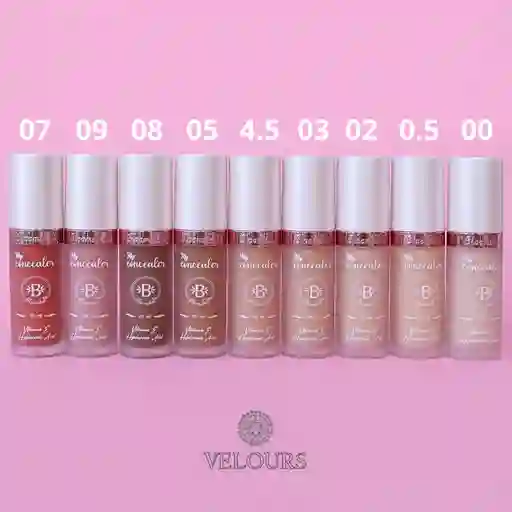 Corrector Nueva Formula Bl1010 Tono 00 Bloomshell