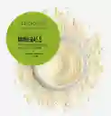 Polvo Suelto Raquel