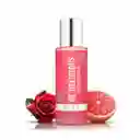 Body Mist Para Mujer Dkny Be Delicious Fresh Blossom 250ml
