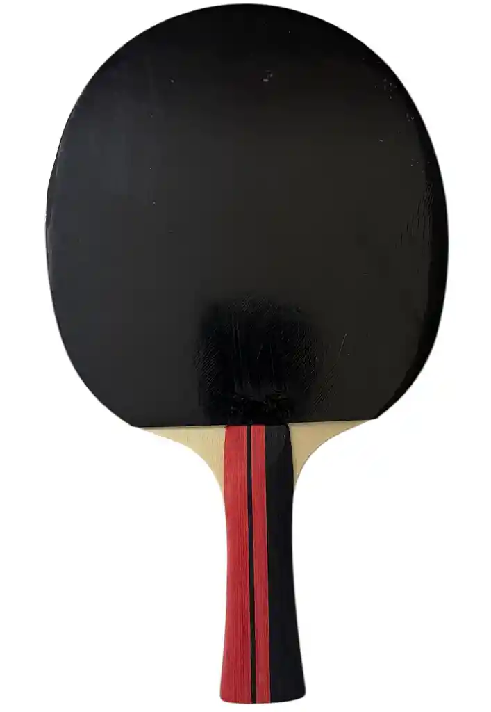 Raqueta De Ping Pong Tenis De Mesa Gvs Competencia + Forro