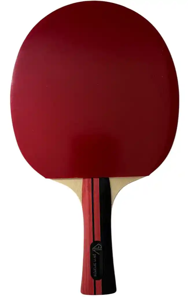 Raqueta De Ping Pong Tenis De Mesa Gvs Competencia + Forro